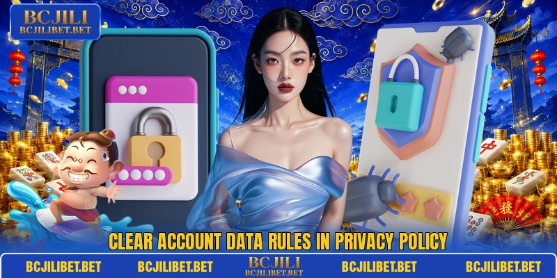 Clear account data rules in privacy policy