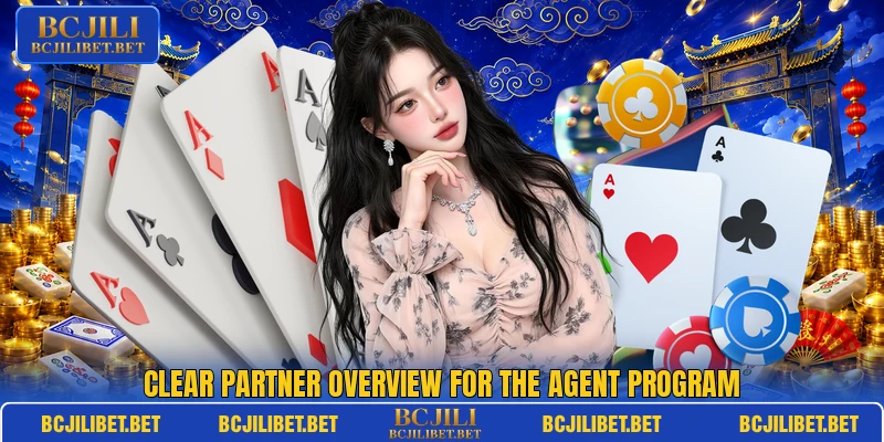 Clear partner overview for the agent program