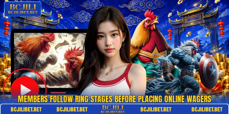 Members follow ring stages before placing online wagers