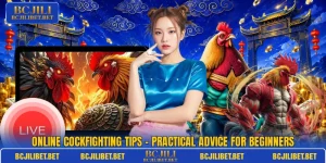 Online Cockfighting Tips – Practical Advice For Beginners