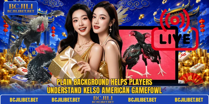 Plain background helps players understand Kelso American gamefowl