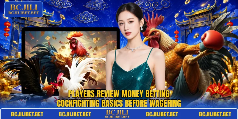 Players review Money betting cockfighting basics before wagering