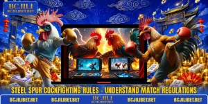 Steel Spur Cockfighting Rules – Understand Match Regulations